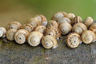 腾讯将成为《消逝的光芒》开发商Techland最大股东