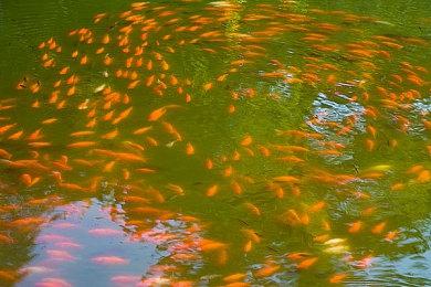 《福尔摩斯：觉醒重制版》开发完成 4月11日发售